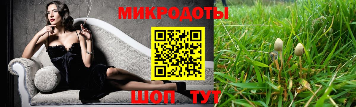 Галлюциногенные грибы мухоморы Новосибирск