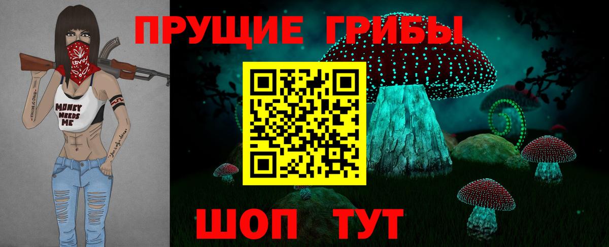 Новосибирск  Галлюциногенные грибы Cubensis  Вход с VPN 